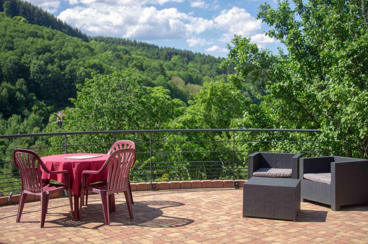 Le Gite Du Wildbach Wildersbach Εξωτερικό φωτογραφία