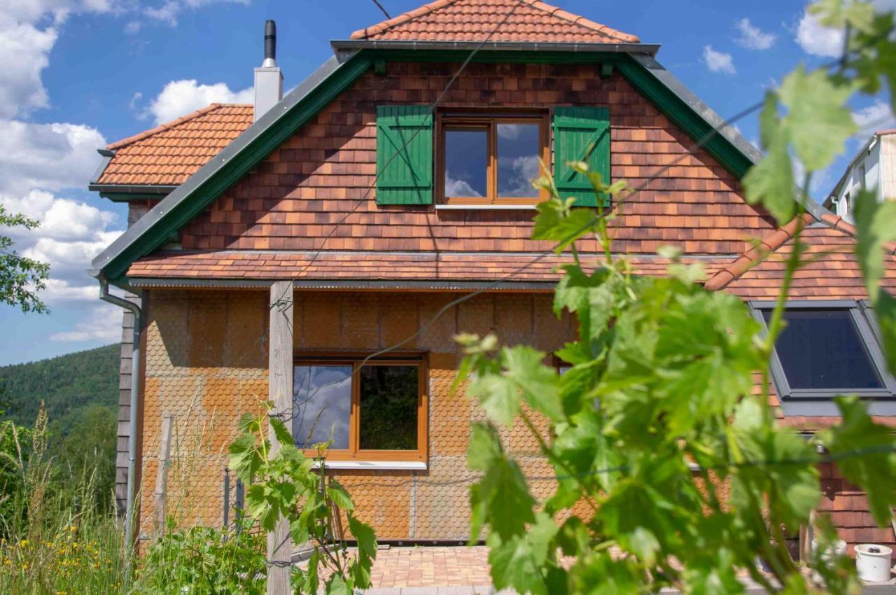 Le Gite Du Wildbach Wildersbach Εξωτερικό φωτογραφία